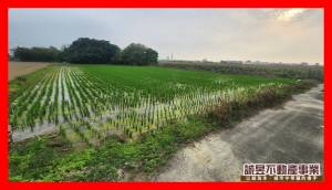 誠昱/善化大同國小36.