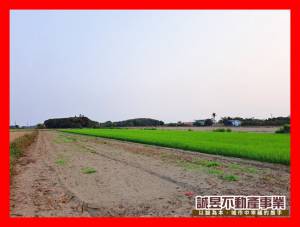 誠昱/後港庄內臨路方正.