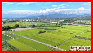 誠昱/東山吉貝耍稻田美農.